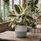 Green Stoneware Pot