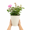 Metal Vertical Line Cream Planter