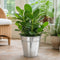 Galvanized Bucket