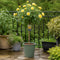 Olive Grey Planter