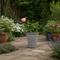 Olive Premium Plastic Planter Grey