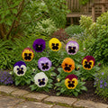 Pansy Delta Pro Blotch Mix 9 Pack × 2 Spring & Autumn Bedding Plants Plants By Post