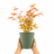 Metal Vertical Line Green Planter