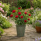 Olive Premium Plastic Planter Green