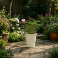 3L Pink Patio Rose Outdoor Garden Rose in Decorative Pot