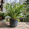 Braga Grey Ceramic