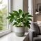 Grey Stoneware Pot