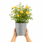 Zinc Vertical Line Planter
