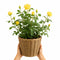 Kubo Basket