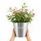Zinc Pail