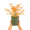 Olive Premium Plastic Planter