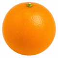 5L Calamondin Tree – Indoor & Outdoor Citrus in Decorative Pot