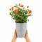 Zinc Vertical Line Planter