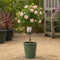 Olive Green Planter