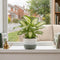 Green Stoneware Pot