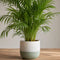 Green Stoneware Pot