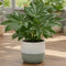 Green Stoneware Pot