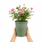 Olive Premium Plastic Planter Green