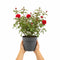 Nursery Pot