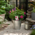 5L Rose Let's Celebrate Dark Pink Rose Bush | Beautiful Flowering Garden Plant Plants By Post