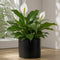 Sofia Matt Black Ceramic