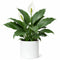 Sofia Glossy White Ceramic