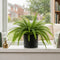 Sofia Matt Black Ceramic