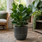 Braga Grey Ceramic