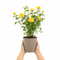 Nursery Pot