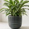 Braga Grey Ceramic