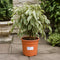 Nursery Pot