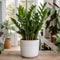 White Stoneware Pot