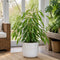 White Stoneware Pot