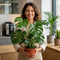 Nursery Pot
