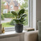 Braga Grey Ceramic
