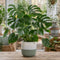 Green Stoneware Pot
