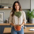 Woman holding a Mini Olive Tree in a nursery pot ready for planting or gifting.