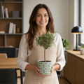 Woman holding a Mini Olive Tree in a decorative planter suitable for home and garden décor.