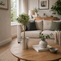 Mini Olive Tree styled in a decorative pot inside a bright modern living room.
