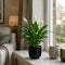 Matt Black Ceramic Pot