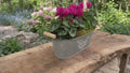 Floral Design Trough with Cyclamen – Wooden Handles & Moss Top