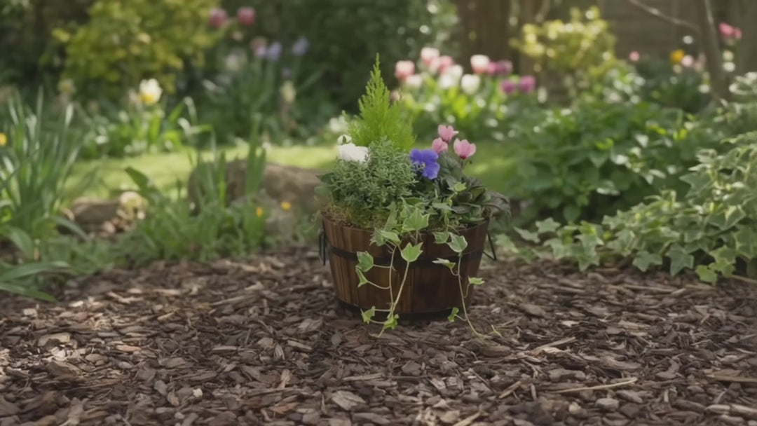 Wooden Seasonal Barrel with Mixed Plants – Moss Finish Planter