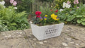 Seasonal Farmers Market White Wooden Trough with Mixed Plants – Moss Finish Planter