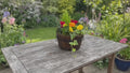 Wooden Seasonal Barrel with Mixed Plants – Moss Finish Planter