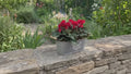 Floral Design Trough with Cyclamen – Wooden Handles & Moss Top
