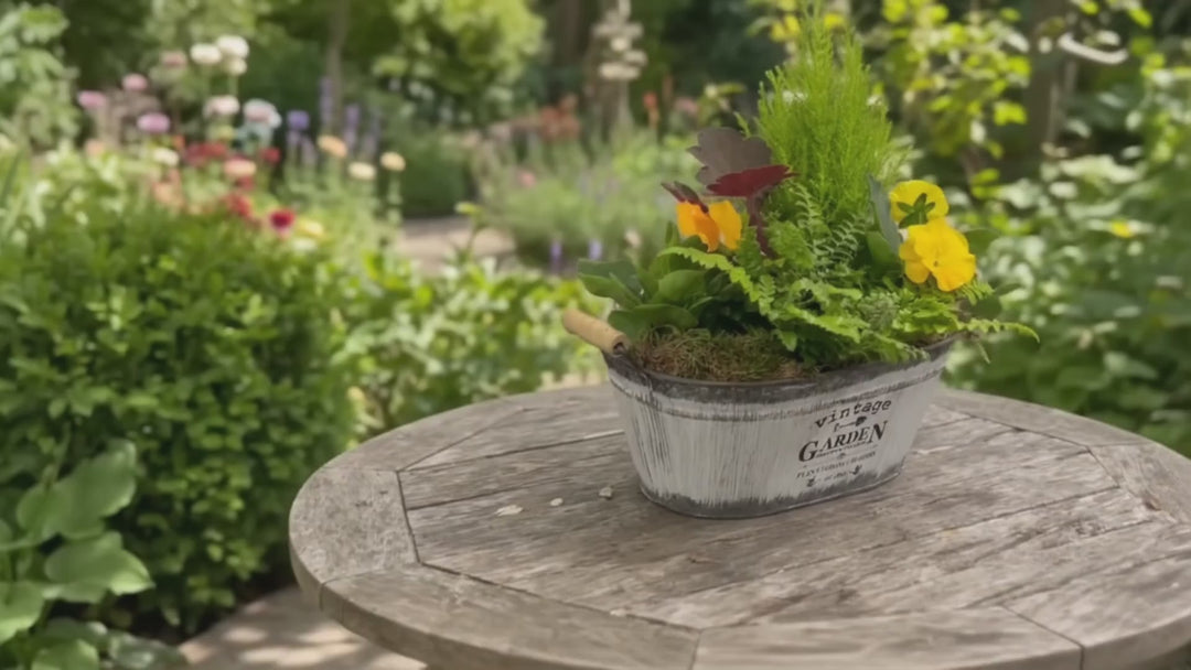 Seasonal Vintage Garden Metal Trough with Mixed Plants – Moss Finish Planter