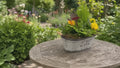 Seasonal Vintage Garden Metal Trough with Mixed Plants – Moss Finish Planter