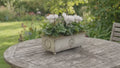 Traditional Metal Trough with Seasonal Cyclamen – Moss Lining
