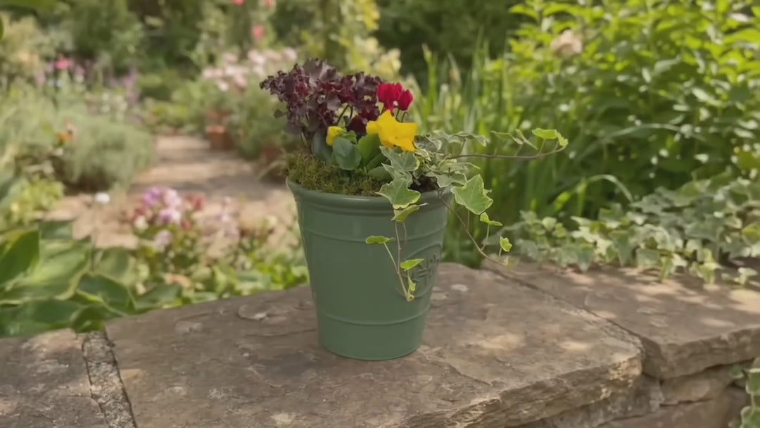 Olive Planter with Mixed Seasonal Plants – Grey or Green Garden Container