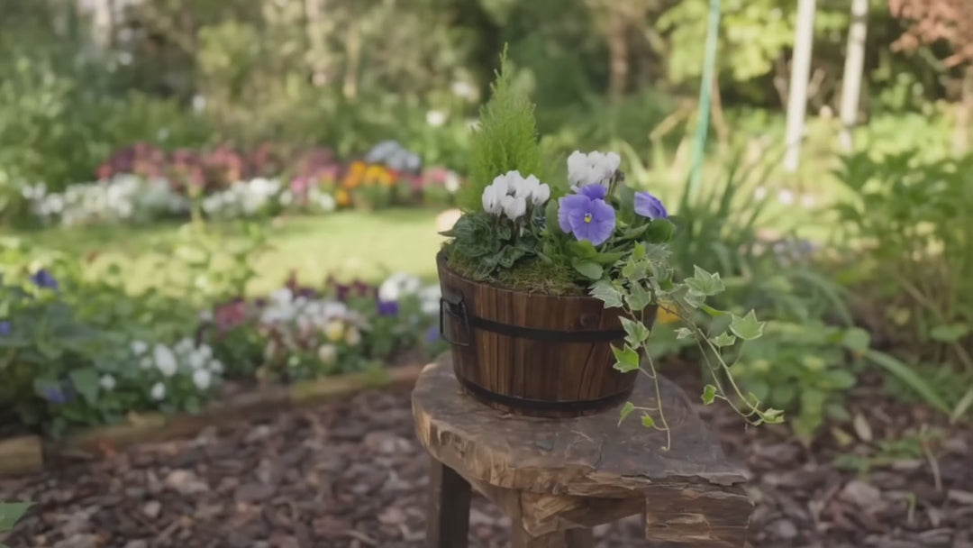 Wooden Seasonal Barrel with Mixed Plants – Moss Finish Planter